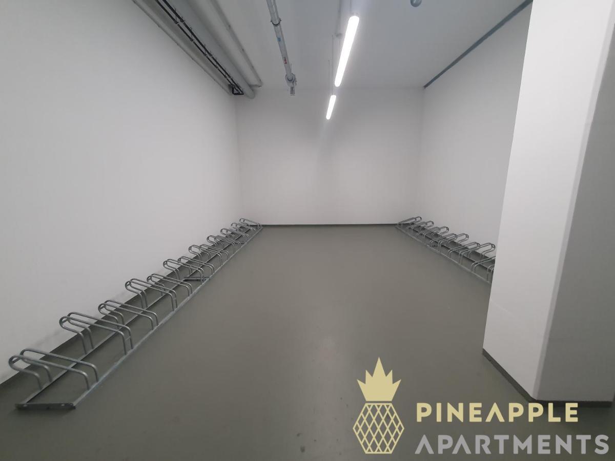 Pineapple Apartments Penthouse Am Zwinger - 162 Qm - 1X Free Parking Dresden Exteriör bild